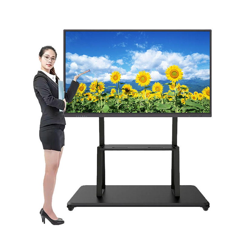 Interactive Flat Panel Display